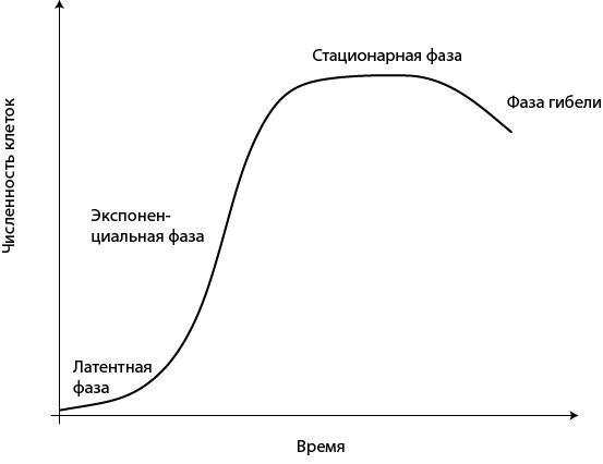 Двигатели жизни. Как бактерии сделали наш мир обитаемым