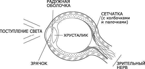 Аура человека. Способы защиты и воздействия