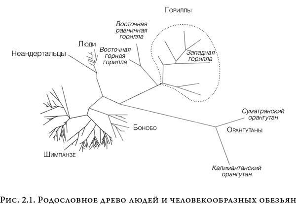 На заре человечества. Неизвестная история наших предков