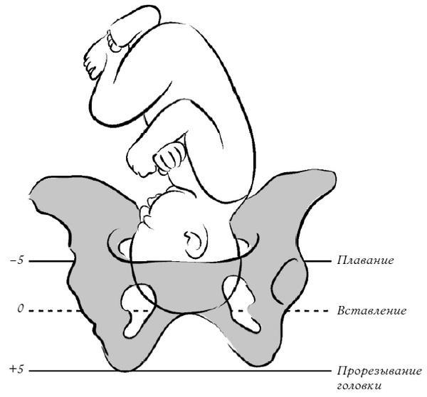 Йога для беременных