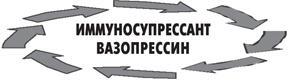 Вода – натуральное лекарство от ожирения, рака, депрессии