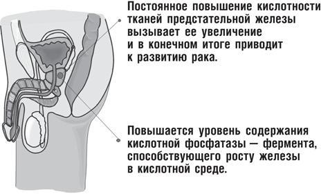 Вода – натуральное лекарство от ожирения, рака, депрессии