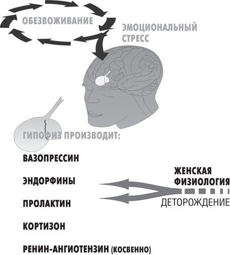 Вода – натуральное лекарство от ожирения, рака, депрессии