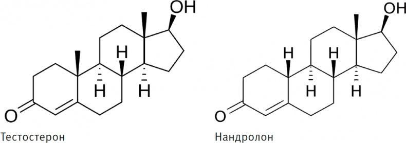 Совершенное тело за 4 часа