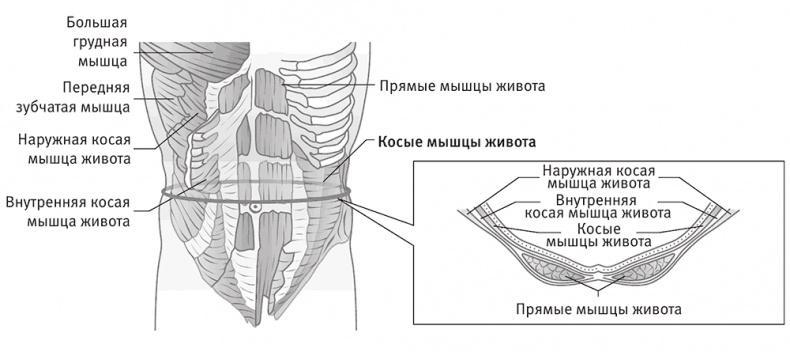 Совершенное тело за 4 часа