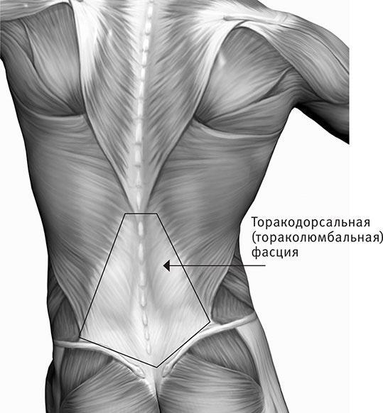 Совершенное тело за 4 часа