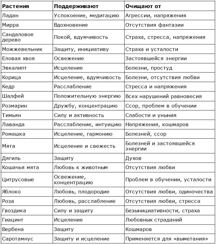 Магия для дома. Действенные практики очищения и защиты жилища