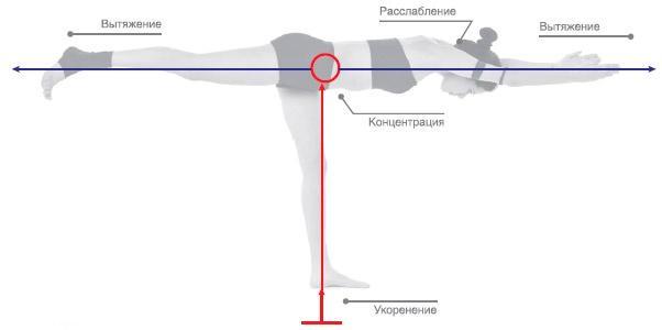 Энергетика йоги. Практический курс