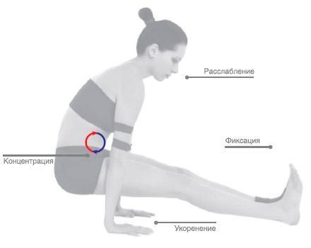 Энергетика йоги. Практический курс