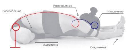 Энергетика йоги. Практический курс