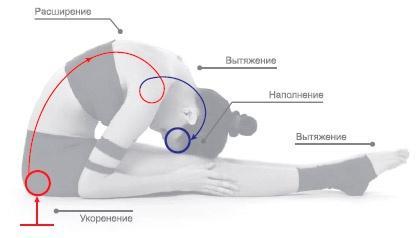 Энергетика йоги. Практический курс