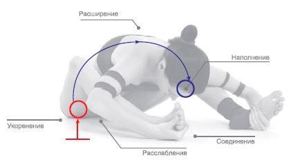 Энергетика йоги. Практический курс