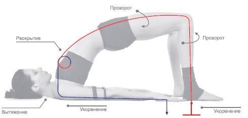 Энергетика йоги. Практический курс