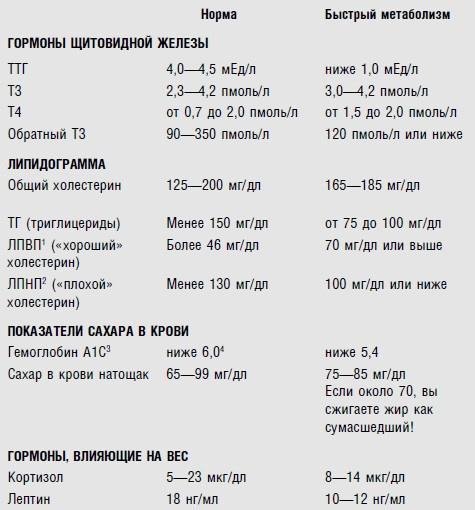 Диета для ускорения метаболизма