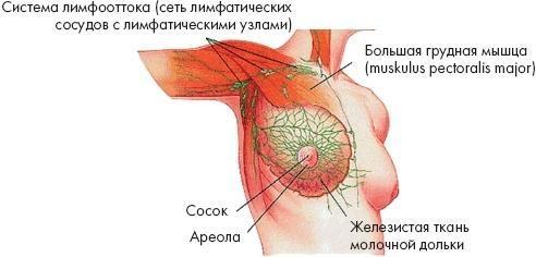 Аэробика для груди