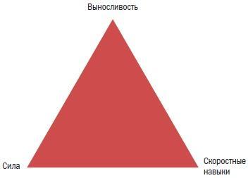 Библия велосипедиста