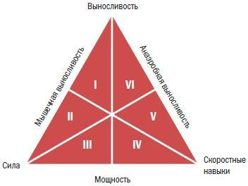 Библия велосипедиста