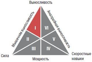 Библия велосипедиста