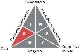 Библия велосипедиста