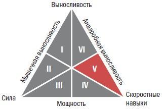 Библия велосипедиста