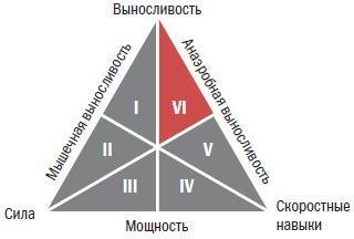 Библия велосипедиста