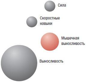 Библия велосипедиста