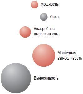 Библия велосипедиста