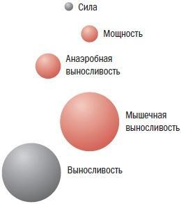 Библия велосипедиста