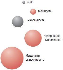 Библия велосипедиста