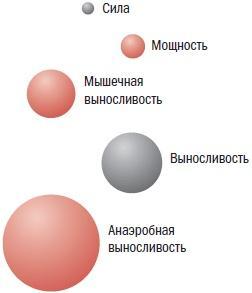 Библия велосипедиста