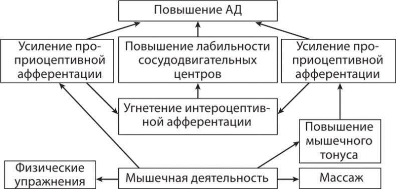 Атлас. Практический массаж