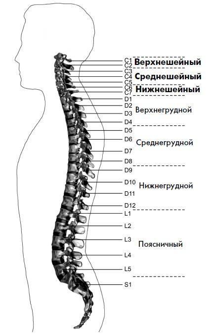 Ария для спины. Авторская программа против боли в суставах