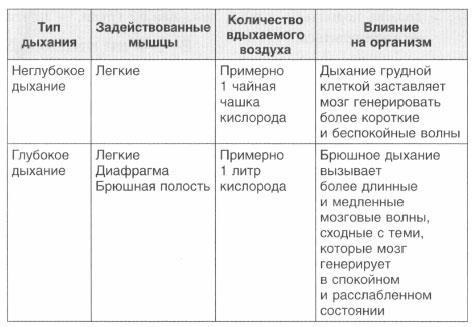 Год, прожитый правильно. 52 шага к здоровому образу жизни