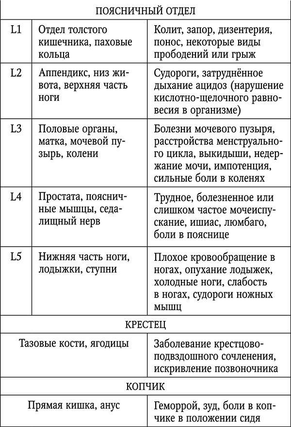 Чтобы спина не болела: лучшие лечебные упражнения