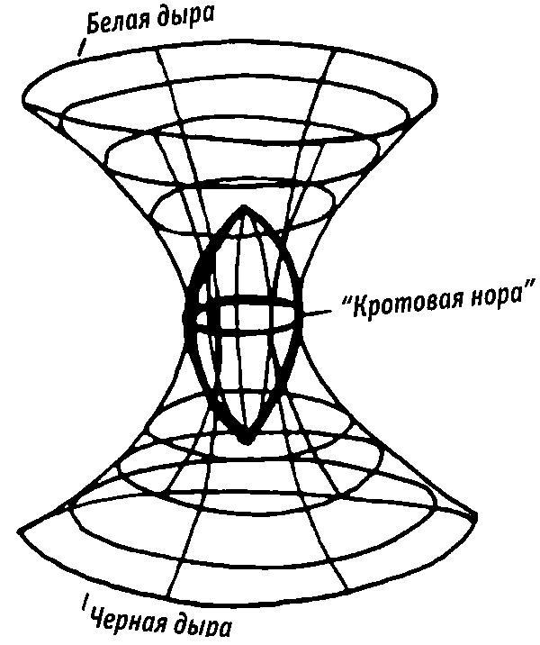 Квадратный корень из лета