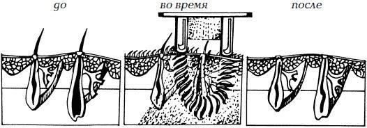 Уход за телом. Краткая энциклопедия