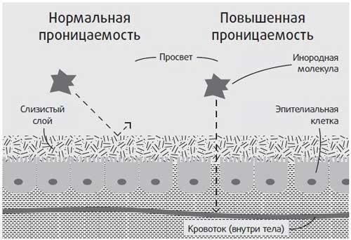 Здоровье начинается с правильной еды