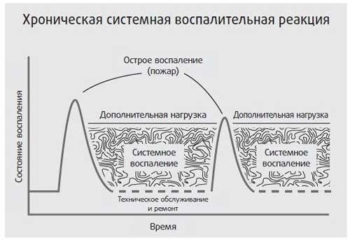 Здоровье начинается с правильной еды