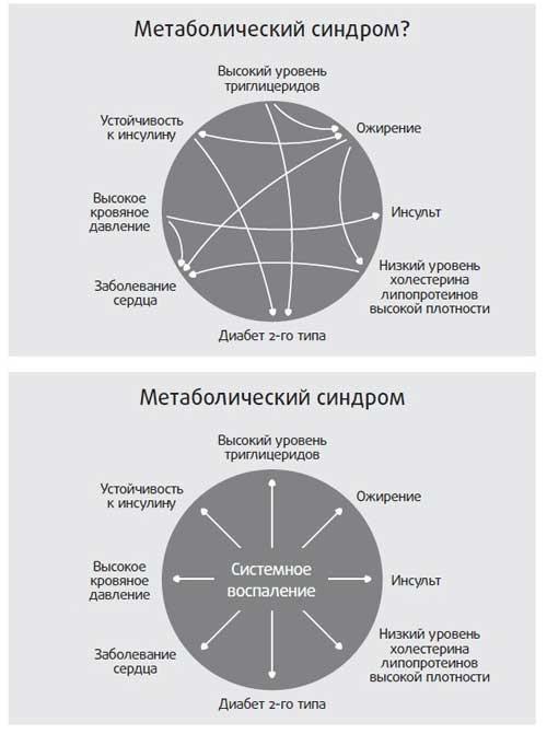 Здоровье начинается с правильной еды