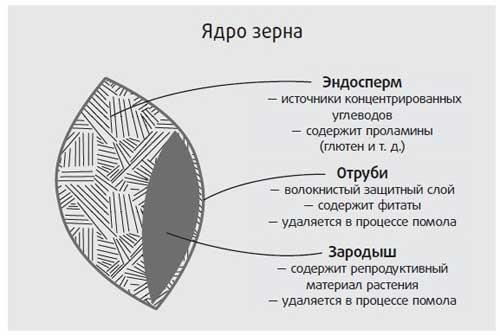 Здоровье начинается с правильной еды