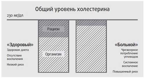 Здоровье начинается с правильной еды