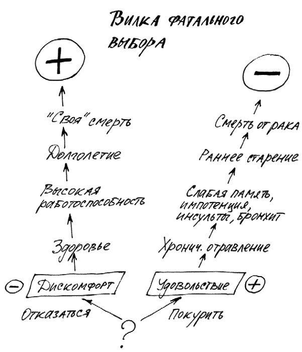 Работа, деньги и любовь. Путеводитель по самореализации