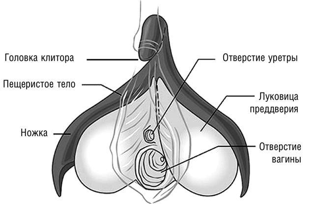 #Секреты Королевы. Настольная книга искусной любовницы