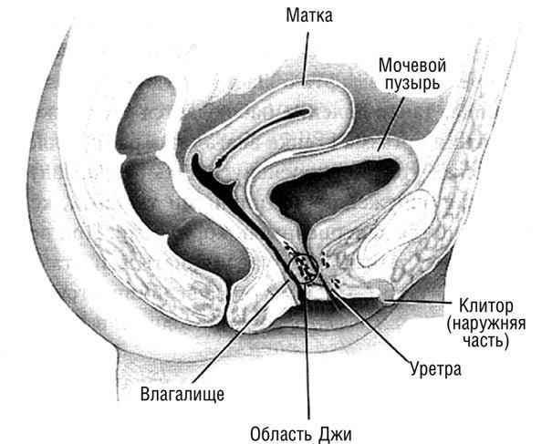 #Секреты Королевы. Настольная книга искусной любовницы