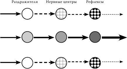 Методология мышления. Черновик