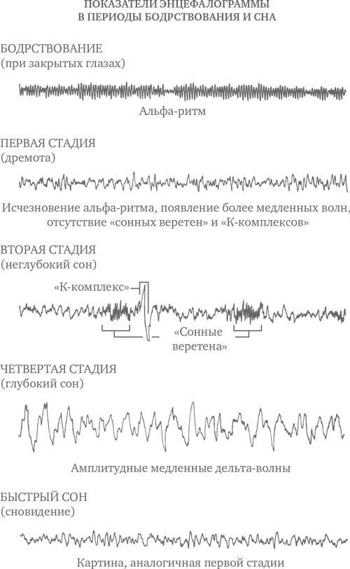 Сон ребенка. Решение всех проблем