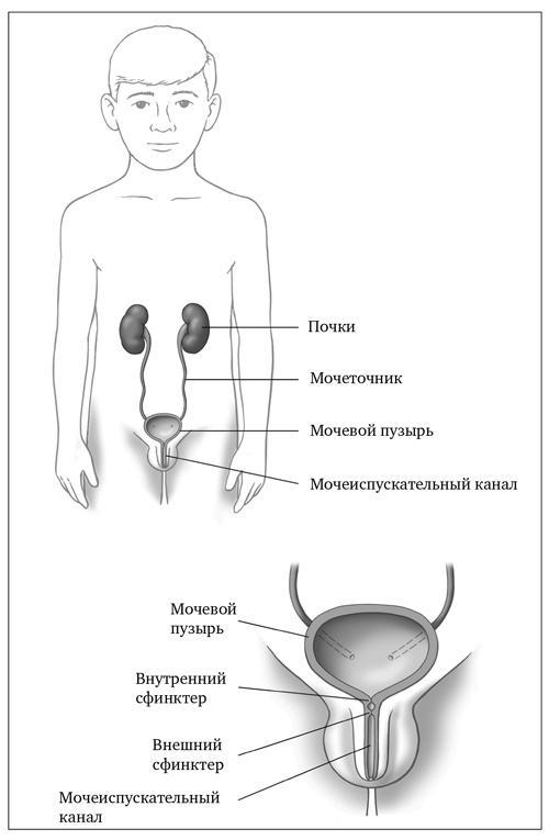 Сон ребенка. Решение всех проблем