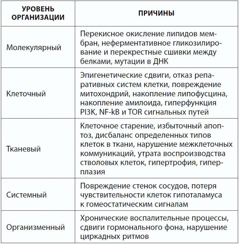 120 лет жизни – только начало. Как победить старение?