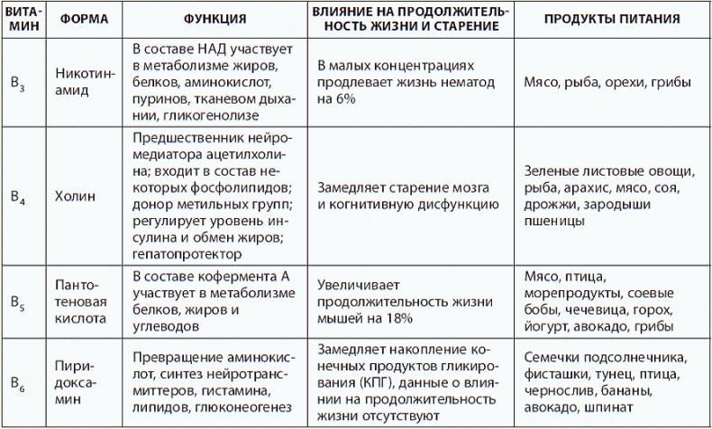 120 лет жизни – только начало. Как победить старение?