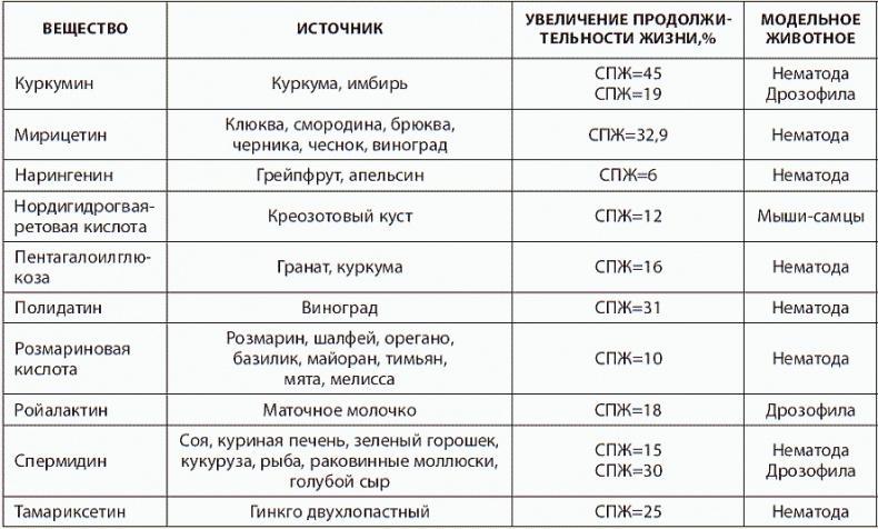 120 лет жизни – только начало. Как победить старение?